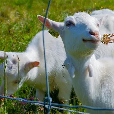 Welcoming With Fireplace & Modern Kitchen Semesterbostad