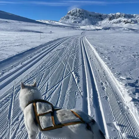 別荘 Welcoming With Fireplace & Modern Kitchen *