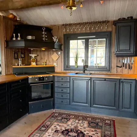 Welcoming With Fireplace Modern Kitchen