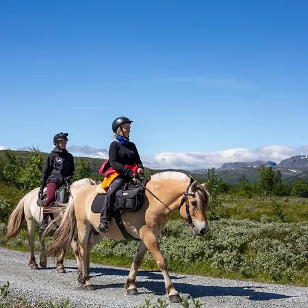 Feriehus Welcoming With Fireplace & Modern Kitchen Beitostolen